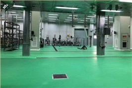 乙烯基重防腐不发火地坪工程