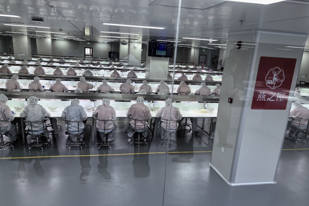 食品级乙烯基砂浆自流平地坪工程